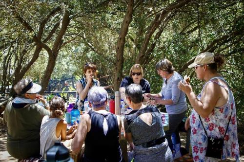 01fdec68-bed2-4ae8-ae27-6803a442e0d4