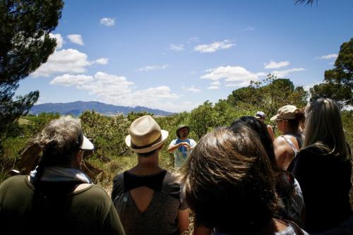 3af534ea-b789-4f78-97c5-3bd0399bb65f