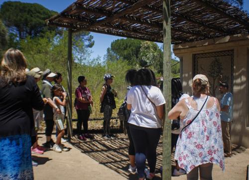 9f31d18e-5157-498d-92be-9dbcc32967da