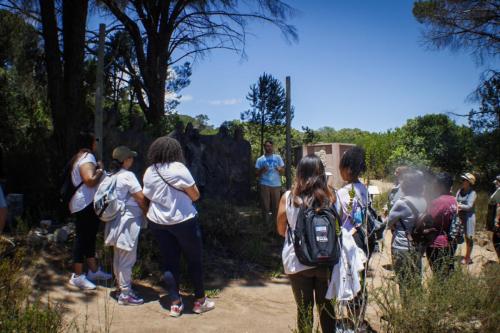 a155b894-75bb-4f36-8b02-d5b1947c75b2