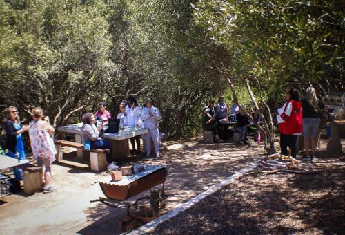 cc3da0ce-f6ce-4ba0-8346-a174c1d5502f