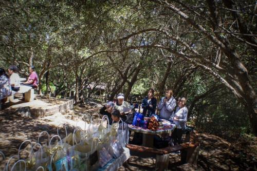 dab6c6ce-2950-45dc-b26b-e9e468b40cf2