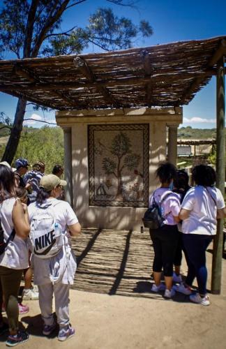 ed8ec3f5-f28f-4a6b-95de-fe8c27a4e204